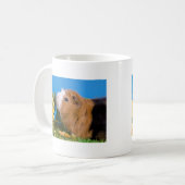 guinea pig koffiemok (Voorkant links)