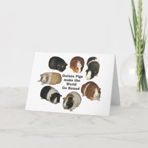 Guinea Pig Note Card Kaart