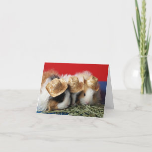 Guinea Pig Note Card Kaart