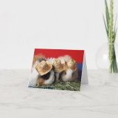 Guinea Pig Note Card Kaart (Voorkant)