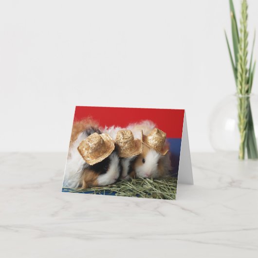 Guinea Pig Note Card Kaart (Voorkant)