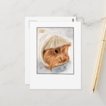Guinea Pig Pet Selfie- DNM Briefkaarten
