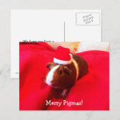 Guinea Pig Santa Claus Kerstvakantie Feestdagenkaart (Voorkant / Achterkant)