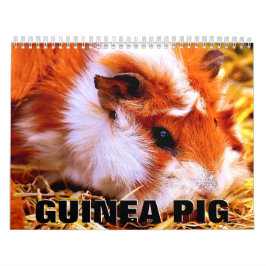 Guinea Pig Wall Agenda Kalender