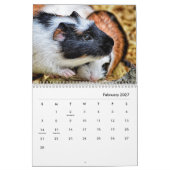 Guinea Pig Wall Agenda Kalender (Feb 2027)