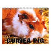 Guinea Pig Wall Agenda Kalender (Hoes)