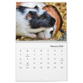 Guinea Pig Wall Agenda Kalender (Feb 2026)