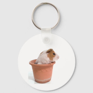 guinea pigs in a flowerpot sleutelhanger