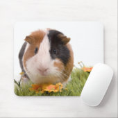 Guinea pigs on a lawn muismat (Met muis)