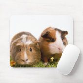 Guinea pigs on a lawn muismat (Met muis)