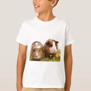 Guinea pigs on a lawn t-shirt