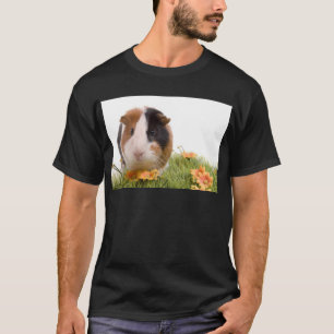 Guinea pigs on a lawn t-shirt