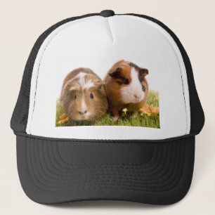 Guinea pigs on a lawn trucker pet