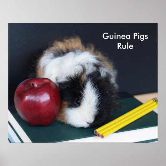 Guinea Pigs Rule Poster (Voorkant)