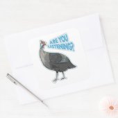 Guineafowl Funny loud bird cartoon Vierkante Sticker (Envelop)