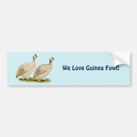 Guineas Buff Dundotte Fowl Bumpersticker (Voorkant)
