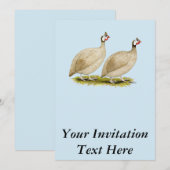 Guineas Buff Dundotte Fowl Kaart (Voorkant / Achterkant)
