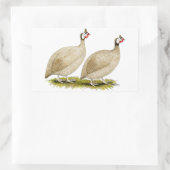 Guineas Buff Dundotte Fowl Rechthoekige Sticker (Tas)