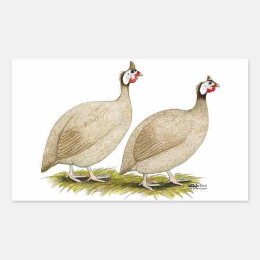 Guineas Buff Dundotte Fowl Rechthoekige Sticker (Voorkant)