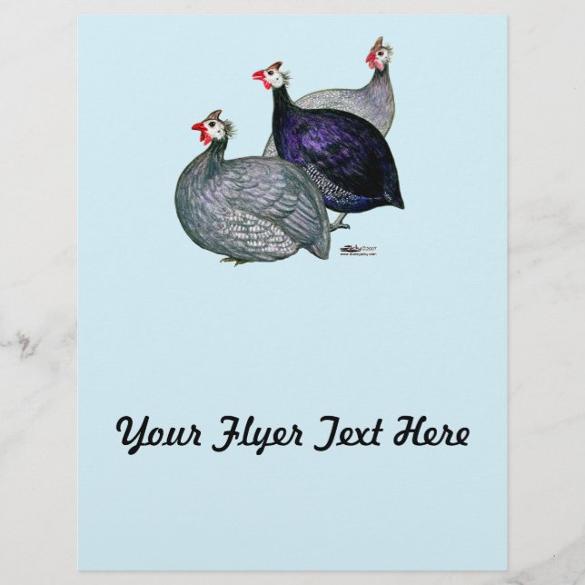 Guineas Drie (Voorkant)