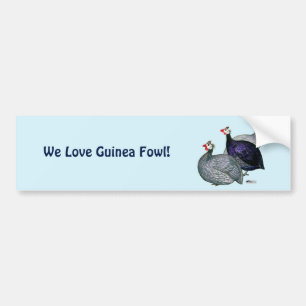 Guineas Drie Bumpersticker