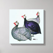 Guineas Drie Canvas Afdruk (Voorkant)