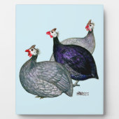 Guineas Drie Fotoplaat (Voorkant)