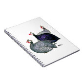 Guineas Drie Notitieboek (Rechterzijde)