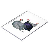 Guineas Drie Notitieboek (Linkerzijde)