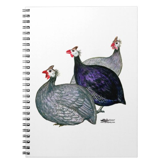 Guineas Drie Notitieboek (Voorkant)