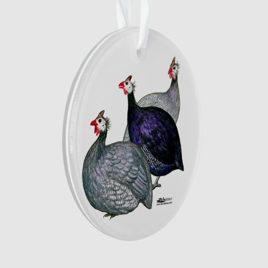 Guineas Drie Ornament (voorkant)