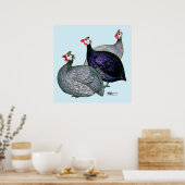 Guineas Drie Poster (Keuken)