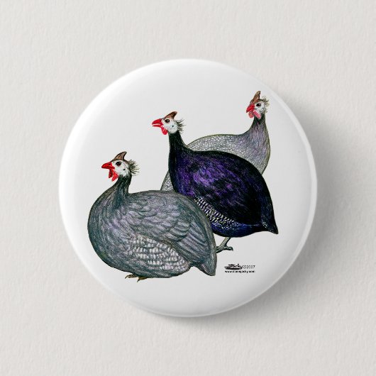 Guineas Drie Ronde Button 5,7 Cm (Voorkant)