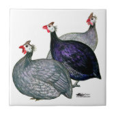 Guineas Drie Tegeltje (Voorkant)