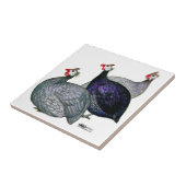 Guineas Drie Tegeltje (Zijkant)