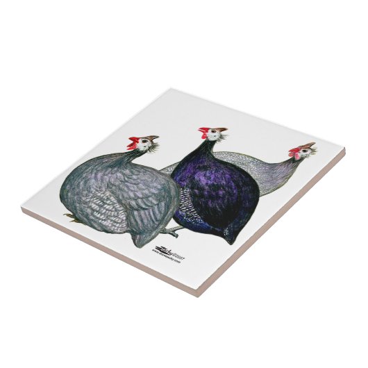 Guineas Drie Tegeltje (Zijkant)