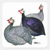 Guineas Drie Vierkante Sticker (Voorkant)