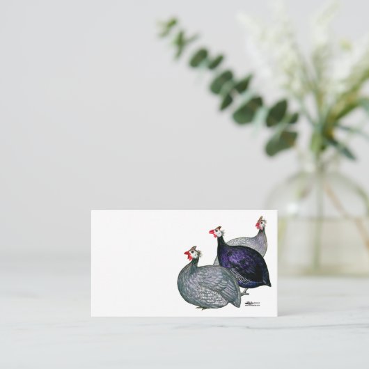 Guineas Drie Visitekaartje (Staand voorkant)