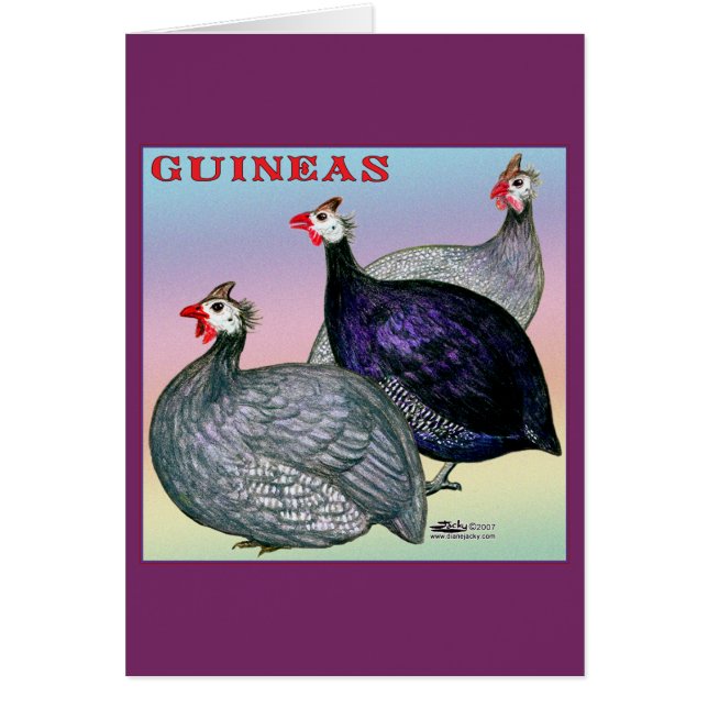 Guineas Three Fowl (Voorkant)
