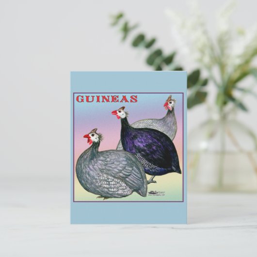 Guineas Three Fowl Briefkaart (Staand voorkant)