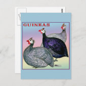 Guineas Three Fowl Briefkaart (Voorkant / Achterkant)