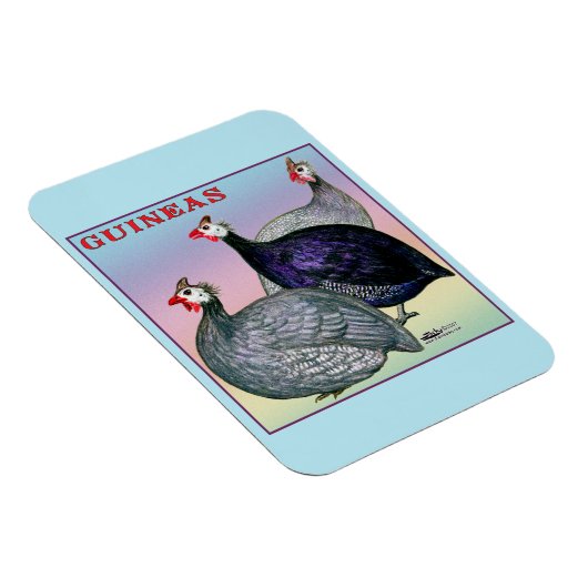Guineas Three Fowl Magneet (Rechterzijde)