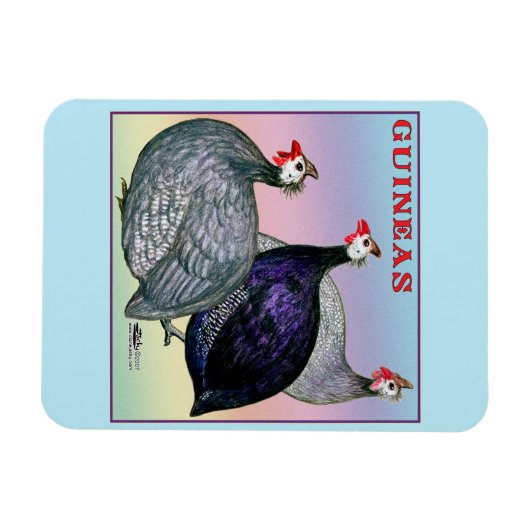 Guineas Three Fowl Magneet (Horizontaal)