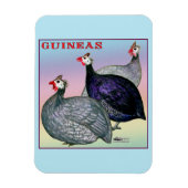Guineas Three Fowl Magneet (Verticaal)