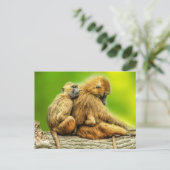 Guinebaboes Briefkaart (Staand voorkant)