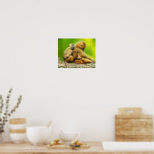 Guinebaboes Poster (Keuken)