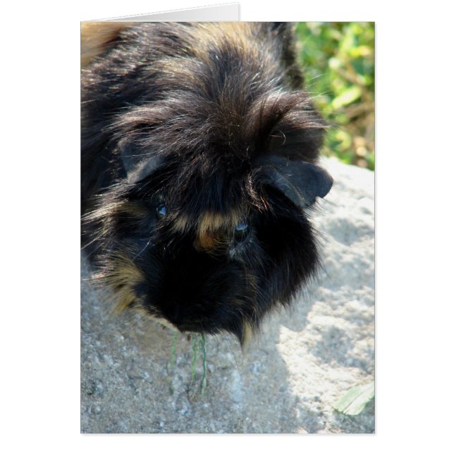 Guinee-Bissau (Voorkant)