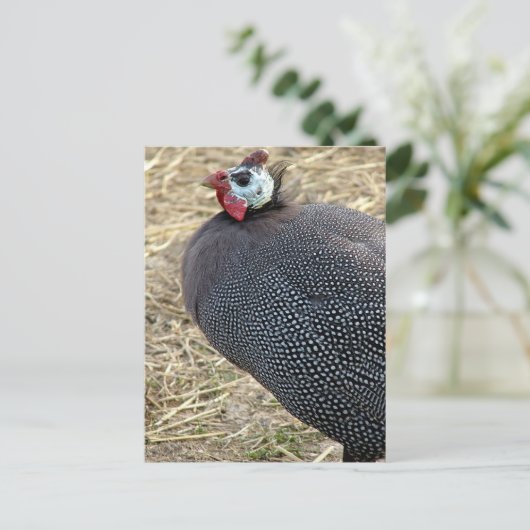 Guinee Briefkaart (Staand voorkant)