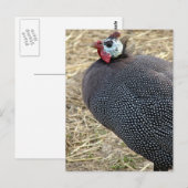 Guinee Briefkaart (Voorkant / Achterkant)