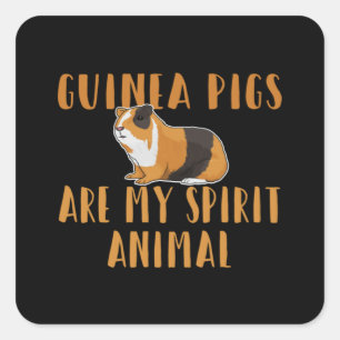 Guinee - cavia ' s zijn mijn gedistilleerde dieren vierkante sticker